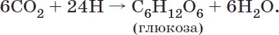 Так энергия солнечного света преобразуется в энергию химических связей сложных - фото 21