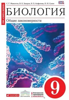 Секс с 9 класс - смотреть русское порно видео бесплатно