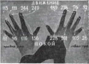 Рис 146 Время ощупывания фигуры каждым пальцем в 24х долях секунды На - фото 55