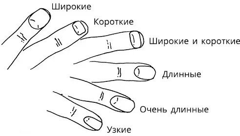 А Длина и ширина ногтей Б Форма ногтей Бороздки на ногтях важное указание - фото 7