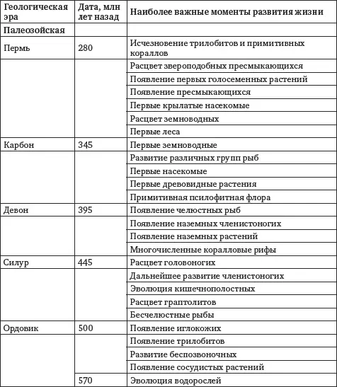 Второй геологический период палеозойская эра570225 млн лет назад В этот - фото 3