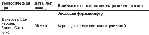 Появление человека Четвертичный периодКайнозойской эры занимает особое место - фото 6