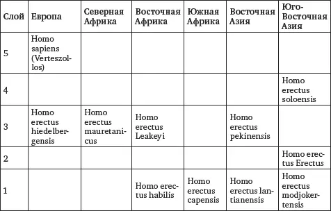 В ходе эволюции человека прямоходящего происходило тонкое взаимодействие - фото 7