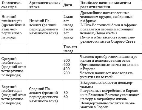 В процессе индивидуального развития человека из оплодотворенного я - фото 8