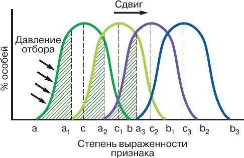 Рис 112 Движущая форма естественного отбора а b а 1 b 1 а 2 b 2 а 3 - фото 14