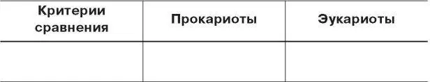 Сравнение клеток разных царств эукариот 19 Ассимиляция и диссимиляция - фото 39