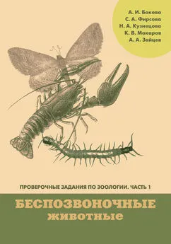 А. Бокова - Проверочные задания по зоологии. Часть 1. Беспозвоночные животные