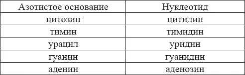 Роль нуклеотидов в клетке связана не только с нуклеиновыми кислотами Основной - фото 7