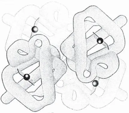 Рис 32Третичная и четвертичная структура молекулы гемоглобина Биосинтез - фото 9