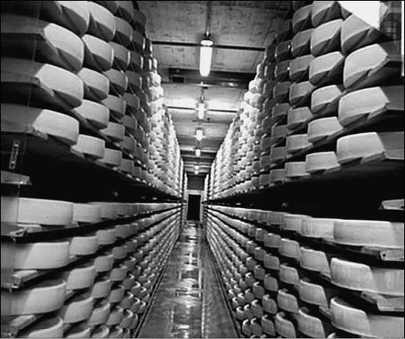 Продукция ярославских сыроваров Ярославская земля тесно связана с жизнью - фото 6