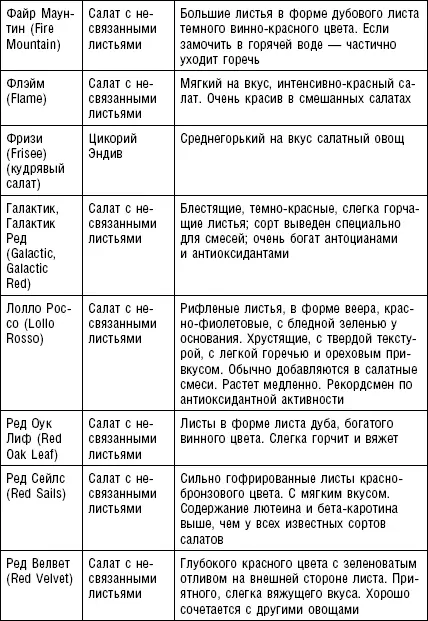 Полезные сведения о салатных овощах и зеленных культурах руководство по - фото 5