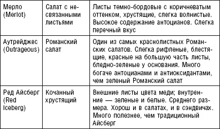 Полезные сведения о салатных овощах и зеленных культурах руководство по - фото 6
