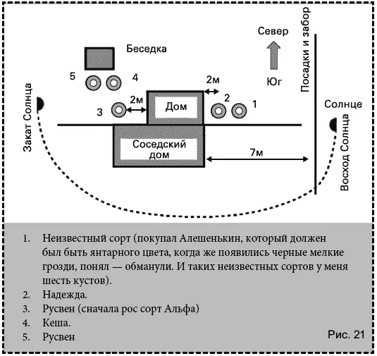 На сорта 1 и 2 солнце попадает с 813 часов На сорт 3 с 14 до захода На - фото 6