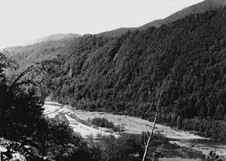 Долина реки Псезуапсе АА БестужевМарлинский Вблизи старой турецкой - фото 28