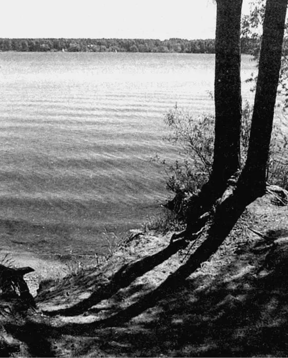 Иваньковское водохранилище В 1904 г население Корчевы составляло 3000 - фото 32