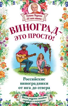 Галина Кизима - Виноград – это просто! Российские виноградники от юга до севера