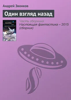 Андрей Звонков - Один взгляд назад