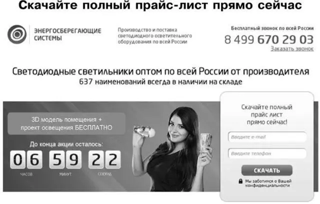 Рис 213Пример лендинга 8 Самое важное из главы 2 Перед запуском - фото 26