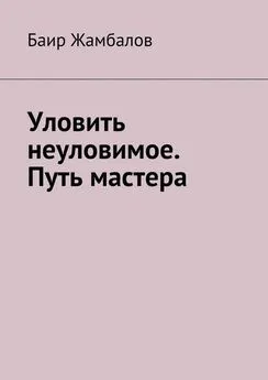 Баир Жамбалов - Уловить неуловимое. Путь мастера