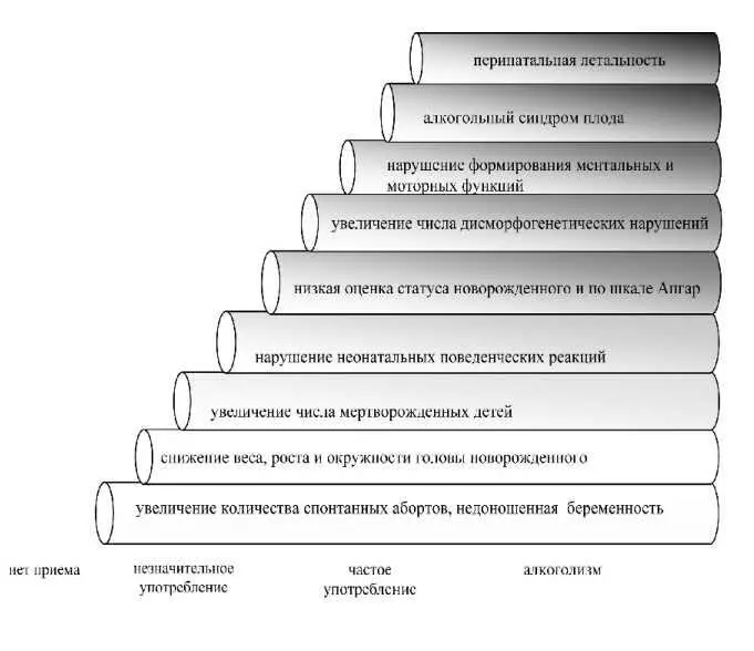 Рис 5 Лестница эмбриотоксических эффектов этанола при различных типах его - фото 7