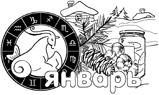 Народные приметы погоды в январе Январь холодный июнь будет сухой и - фото 10