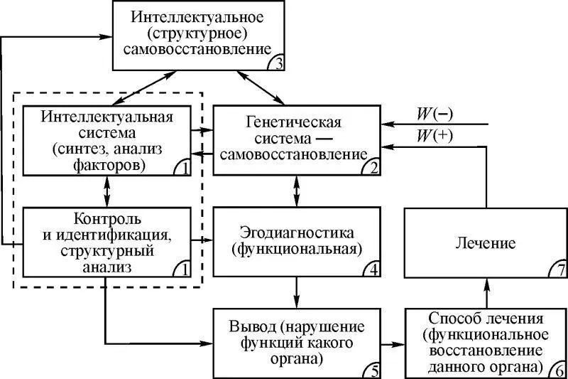 Рис 19 1 Функциональная диагностика Основное достоинство массовость - фото 11