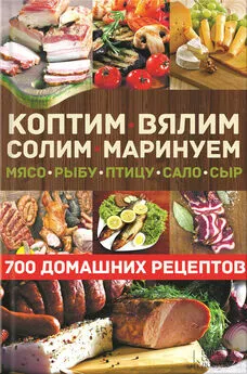 Виктор Андреев - Коптим, вялим, солим, маринуем мясо, рыбу, птицу, сало, сыр. 700 домашних рецептов