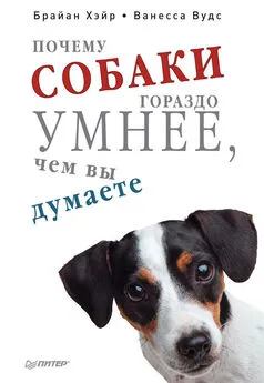 Ванесса Вудс - Почему собаки гораздо умнее, чем вы думаете