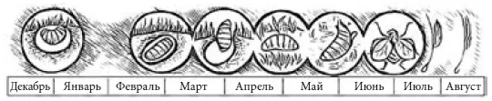 Рис 1 Схема цикла развития кожного овода по Тиунову Первый лёт оводов - фото 9