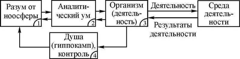 Рис 21 Организм подсистема 3 рис 21 как динамическая система - фото 80