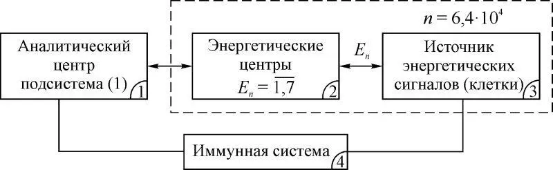 Рис 24 Приведем совокупность органов и систем Эндокринная система включает - фото 83