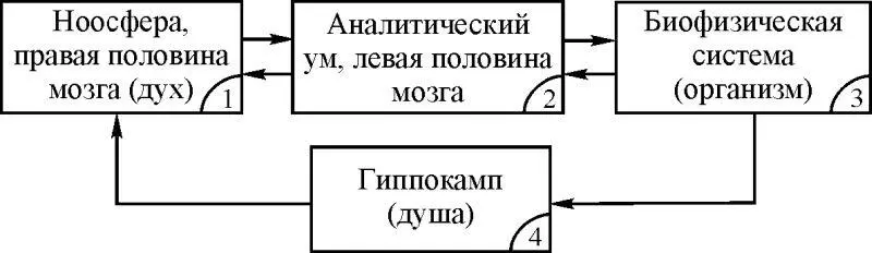 Рис 12 Кратко отметим функциональные назначения подсистем структуры эгосферы - фото 2