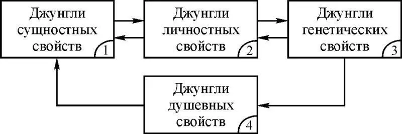 Рис 116 Человеческие джунгли реализуются в своих крайних критических - фото 21