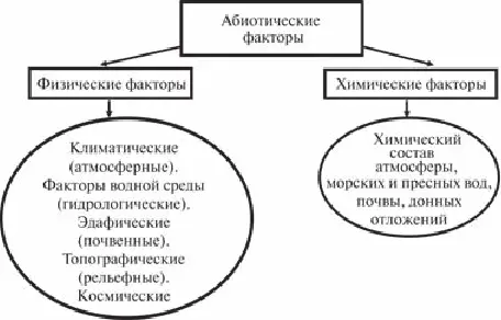 Рис 5Классификация абиотических факторов 1 Абиотические факторы это все - фото 6