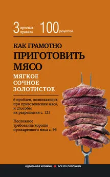 Е. Левашева - Как грамотно приготовить мясо. 3 простых правила и 100 рецептов