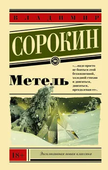 Владимир Сорокин - Метель