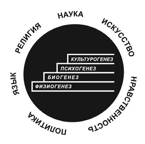 Поразительные коммуникативные успехи шимпанзе Уошо гориллы Коко орангутана - фото 1