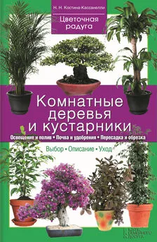 Наталия Костина-Кассанелли - Комнатные деревья и кустарники