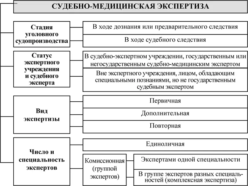 Схема 4 Процессуальный формат судебномедицинской экспертизы В уголовном - фото 4