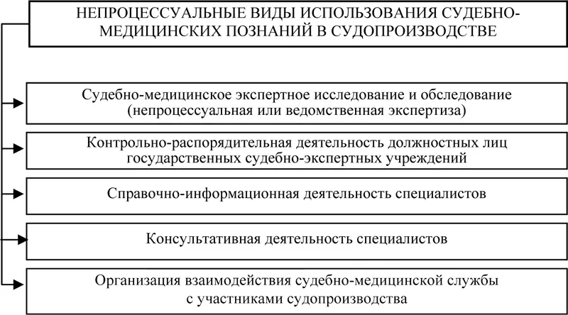 Схема 5 Непроцессуальные виды использования судебномедицинских познаний в - фото 5