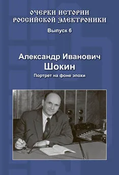 Александр Шокин - Александр Иванович Шокин. Портрет на фоне эпохи