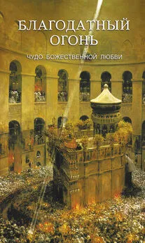 Николай Кокухин - Благодатный огонь. Чудо Божественной любви