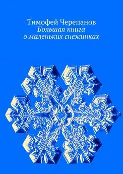 Тимофей Черепанов - Большая книга о маленьких снежинках