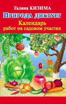 Галина Кизима - Природа диктует. Календарь работ на садовом участке