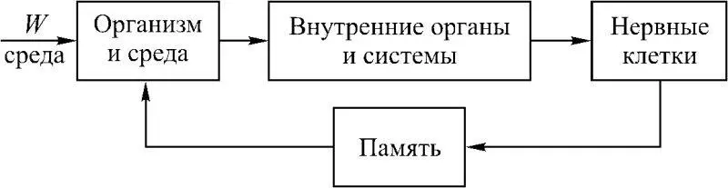 Рис 120 Рис 121 Рис 122 134 Духовные инъекции и психосинтез - фото 28