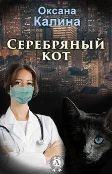 Оксана Калина - Серебряный кот
