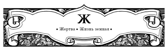 ЖЕРТВА Одна монахиня сказала старцу что видела во сне икону Божией Матери и - фото 17