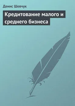 Денис Шевчук - Кредитование малого и среднего бизнеса