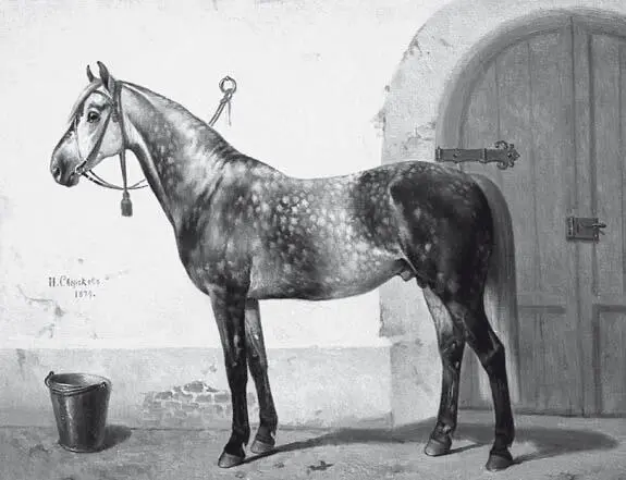 Н Сверчков Крутой 2й Крутой Метла р 1868 г зав Н И Ершова - фото 7
