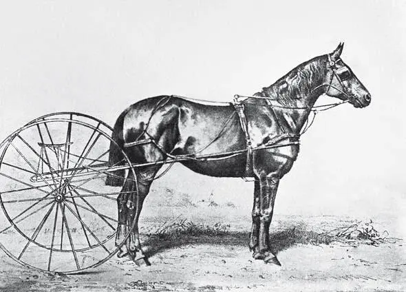 Краса 512 Закрас Ходистая р 1866 г зав М С Мазурина Если сравнить - фото 16